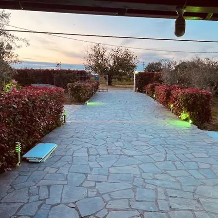 Narcis House Case de vacanță *